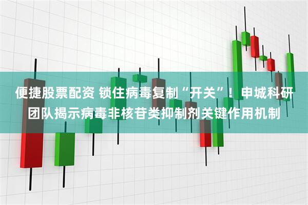 便捷股票配资 锁住病毒复制“开关”！申城科研团队揭示病毒非核苷类抑制剂关键作用机制
